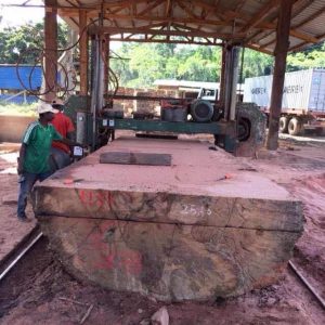 AZOBE Round Log Prices 90cm upwards  FOB $425/CM             
