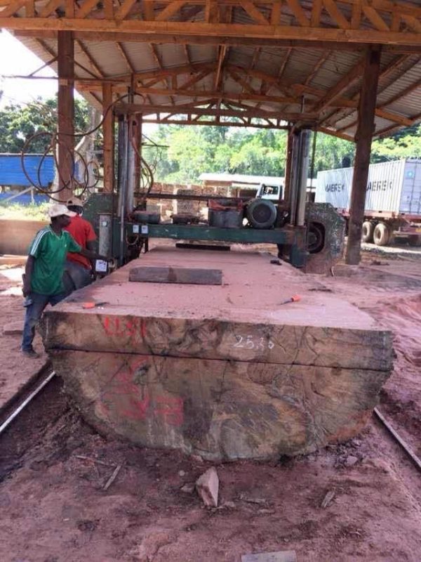 AZOBE Round Log Prices 90cm upwards  FOB $425/CM             