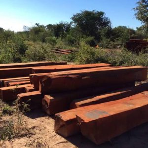 AZOBE Round Log Prices 90cm upwards   CIF $550/CM            