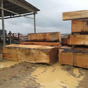 AZOBE  Lumber/Timber    FOB $575/CM