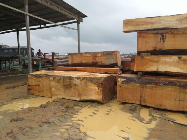 wood products - Image 3