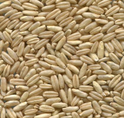 Wheat, sugar, coffee roasted - Image 5