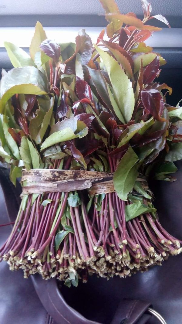 Fresh and dried khart - Image 2