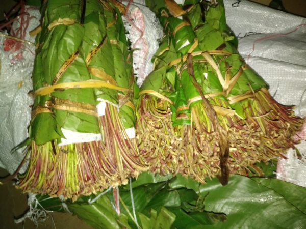 Fresh and dried khart