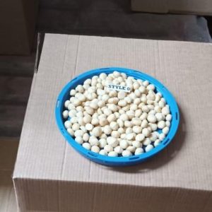 Macadamia size style 1