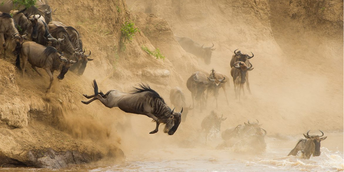 4 Days Maasai Mara Migration Safari