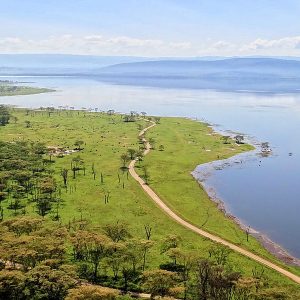 6 Days Maasai Mara, Lake Nakuru & Amboseli Safari